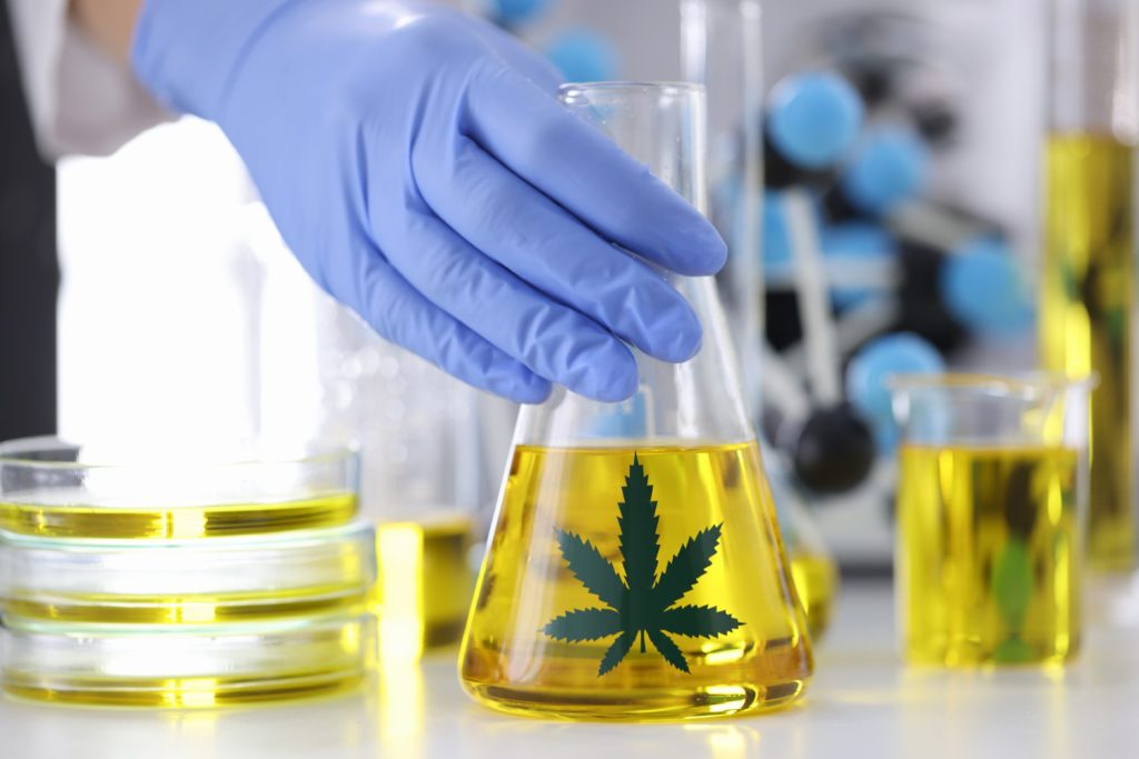 What EU GMP means for CBD oil manufacturing